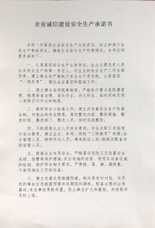 企业诚信建设安全承诺书（第一页）.jpg
